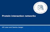 Protein interaction networks