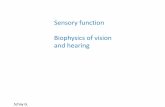 Sensory function Biophysics of vision and hearing