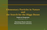 Elementary Particles in Nature the Search for the Higgs Boson