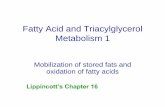 Fatty Acid and Triacylglycerol Metabolism 1