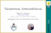1/46 Neutrinos Atmosféricos - UFRGS