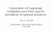 Calculation of Lagrange multipliers and their use for ...