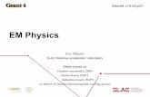 EM Physics - SLAC