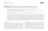 Inhibition of NF-κB/IL-33/ST2 Axis Ameliorates Acute ...
