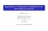 Eigenfunction Lp Estimates on Manifolds of Con- stant ...