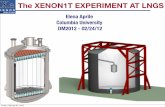 The XENON1T EXPERIMENT AT LNGS