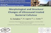 Morphological and Structural Changes of Ultrasound treated