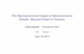 The Macroeconomic Impact of Microeconomic Shocks: …