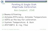 Pointing & Single-Dish Amplitude Calibration