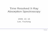 Time Resolved X-Ray Absorption Spectroscopy