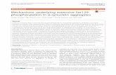 Mechanisms underlying extensive Ser129-phosphorylation in ...