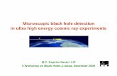 Microscopic black hole detection in ultra high energy ...