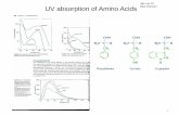 UV absorption of Amino Acids - Montana State University