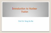Introduction to Nuclear Fusion