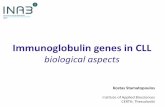 Immunoglobulin genes in CLL - ericll.org