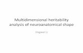 Multidimensional heritability analysis of neuroanatomical ...