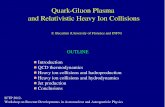 QuarkGluon Plasma and Relativistic Heavy Ion Collisions