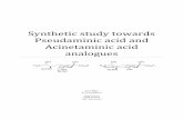 Synthetic study towards Pseudaminic acid and Acinetaminic ...