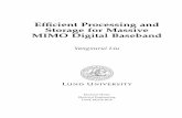 Efﬁcient Processing and Storage for Massive MIMO Digital