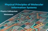 Physical Principles of Molecular Information Systems