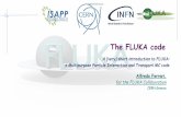 The FLUKA code - CERN