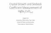 Crystal Growth and Seebeck Coefficient Measurement of
