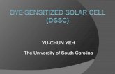 YU-CHUN YEH The University of South Carolina