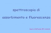 spettroscopia di assorbimento e fluorescenza
