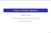 Chapter 6 Multiple Regression