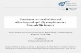 Constituent retrieval in lakes and other deep and ...