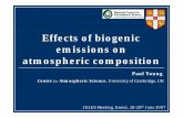 Effects of biogenic emissions on atmospheric composition