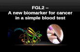 FGL2 A new biomarker for cancer in a simple blood test