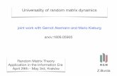 Universality of random matrix dynamics