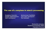 The use of αααα--amylase in starch processingamylase in ...