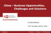 China Business Opportunities, Challenges and Solutions