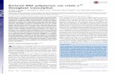 Bacterial RNA polymerase can retain 70 throughout ...