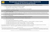 Management of Staphylococcus aureus Bacteremia: A Guide ...