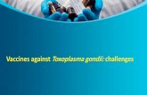 Vaccines against Toxoplasmagondii: challenges