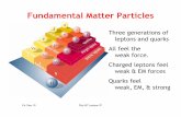 Fundamental Matter Particles