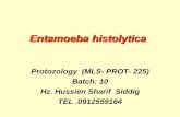 Entamoeba histolytica - National University