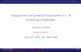 Singularities and Essential Singularities in ˇ N ...