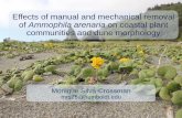 Effects of manual and mechanical removal of Ammophila ...