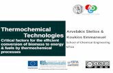 Thermochemical Arvelakis Stelios & Technologies