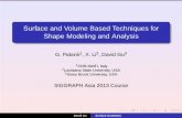 Surface and Volume Based Techniques for Shape Modeling and ...