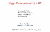 Higgs Prospects at HL-LHC