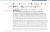 Effects of Elevated β-Estradiol Levels on the Functional ...