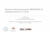 Experimental proposal for MDM/EDM of strange baryons in LHCb