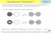Spontaneous “Reactions”? SL-1