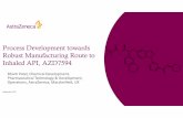 Process Development towards Robust Manufacturing Route to ...