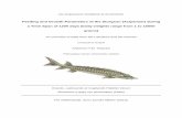 Feeding and Growth Parameters of the Sturgeon (Acipenser ...